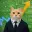 Nascat