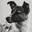 LAIKA