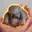 Puggle