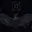 Corvid