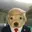TRUMPCHUA