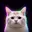 LONGCAT