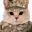 GIGACAT