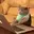 LAPTOPCAT
