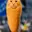 Corncat