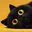 Kuro