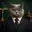 MEOWGN