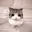 Meowpin