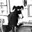 ZDOG