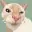 Cutecat