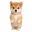 TRADEDOG