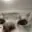 CatGPT