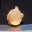 Onion