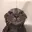 liquidkitty