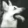 RinTinTin