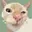 CuteCat