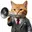 CallCat