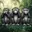 Monkeys